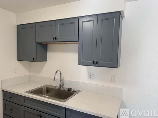 A kitchen with a sink and cabinets.