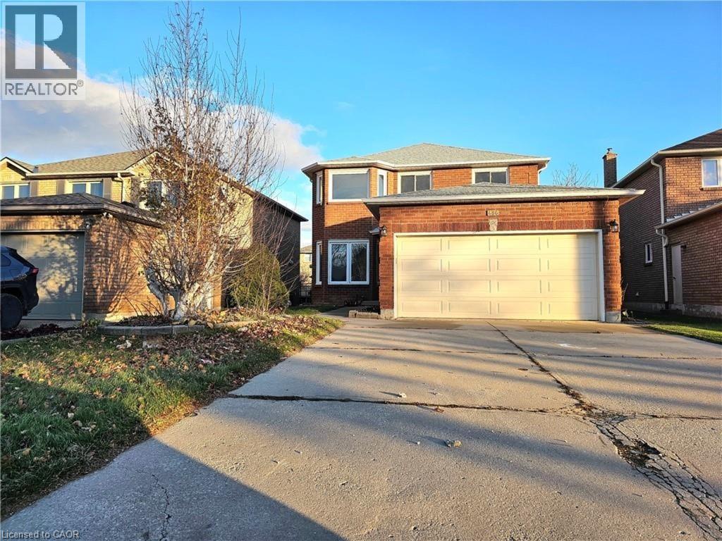 A residential area with houses and a driveway.
