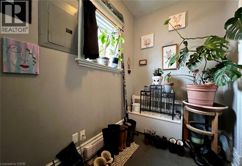 A room with a window, a painting, and a shelf with plants and other items.