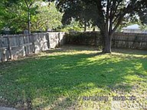 A tree in a grassy area with a stone wall behind it.