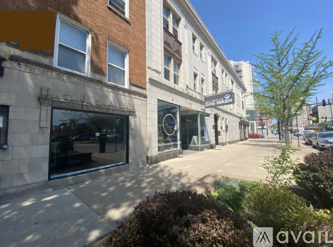 A street view with a building that has a sign that says "DOG WASH".
