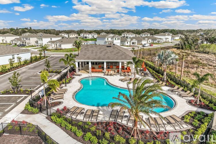 A large outdoor swimming pool surrounded by lounge chairs and palm trees.