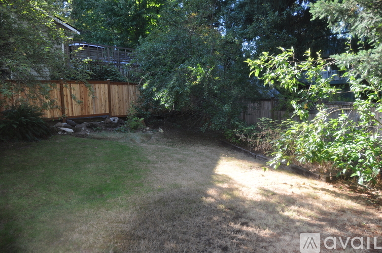 A backyard with a wooden fence and green grass.