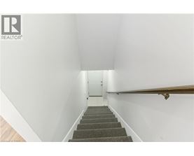 A stairway with a carpeted runner and a wooden handrail.