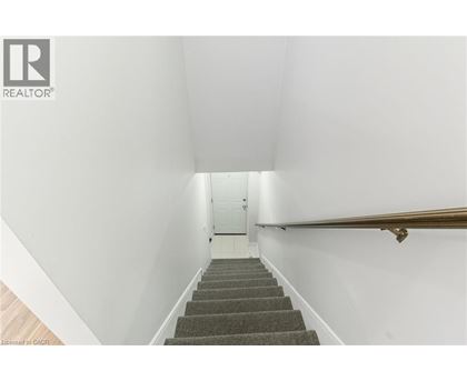 A stairway with a carpeted runner and a wooden handrail.