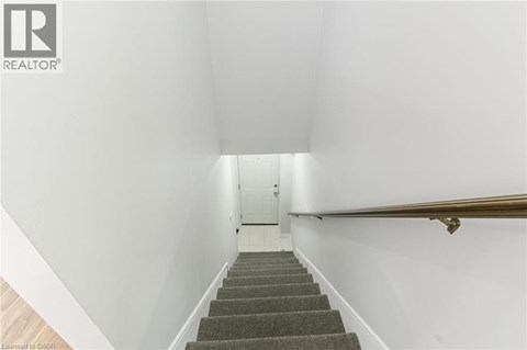 A stairway with a carpeted runner and a wooden handrail.