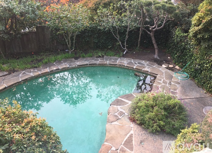 A small pool surrounded by a stone border and green plants.