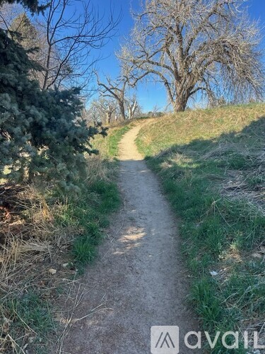 A dirt path winds through a grassy area with trees on either side.