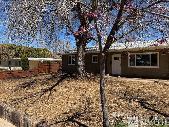 A tree with branches and pink flowers stands in front of a house.