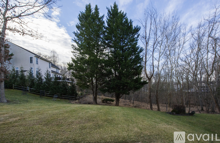 A large tree stands in the middle of a grassy field.
