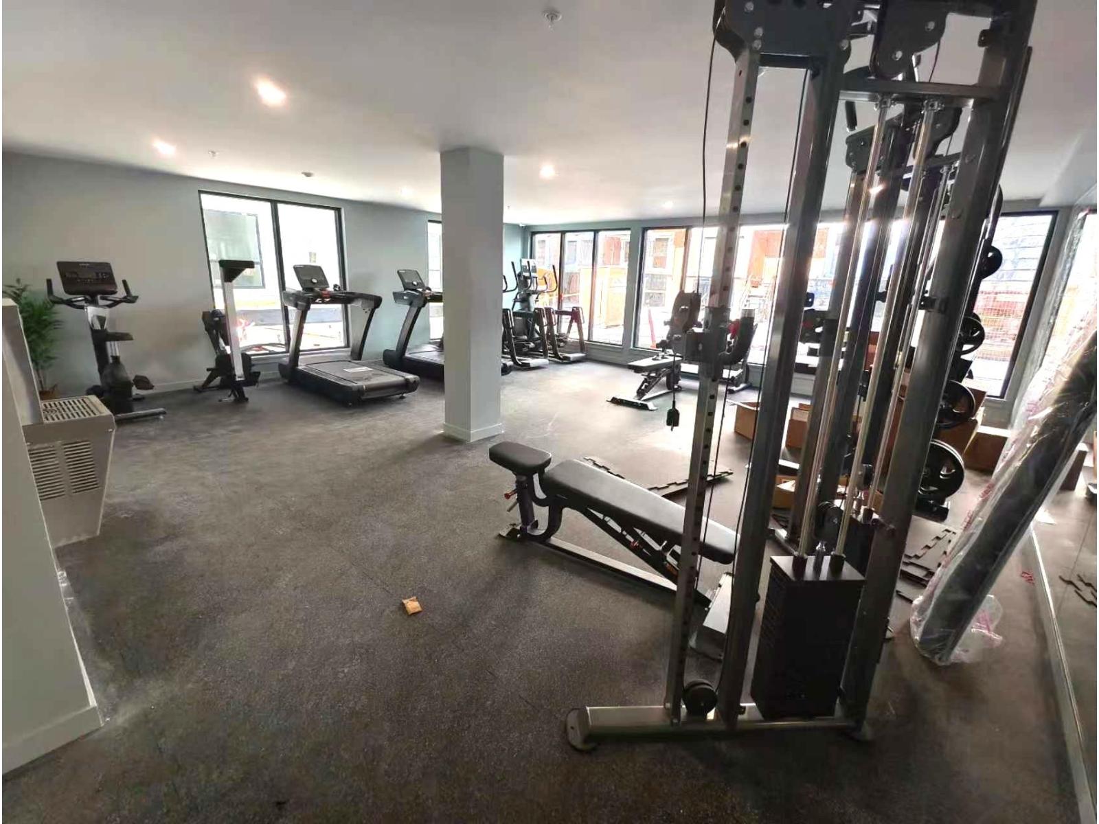 A gym with a variety of equipment including treadmills, weights, and a bench press.