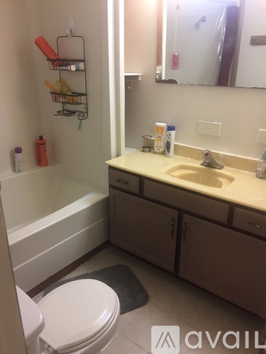 A bathroom with a toilet, sink, and a mirror.