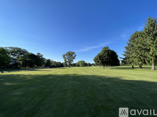 A grassy field with trees and a clear blue sky.