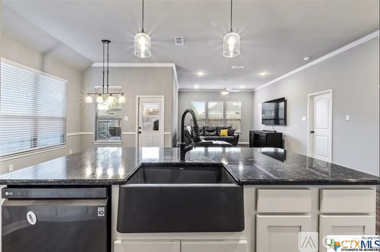 A modern kitchen with a black countertop and a dishwasher.