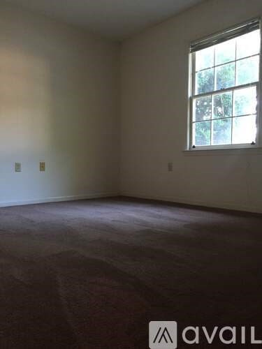 A room with a carpeted floor and a window.