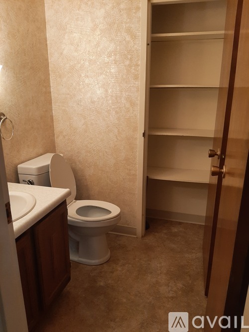 A bathroom with a toilet, sink, and shelves.