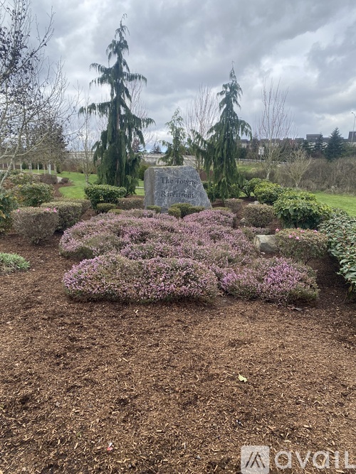 A grave in a cemetery surrounded by shrubbery and trees.
