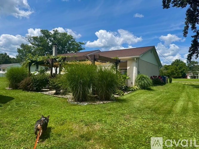 A dog is walking in a grassy area in front of a house.