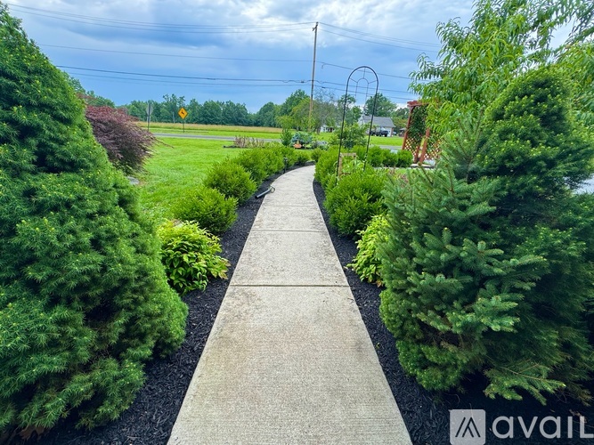 A concrete walkway leads through a lush green garden.