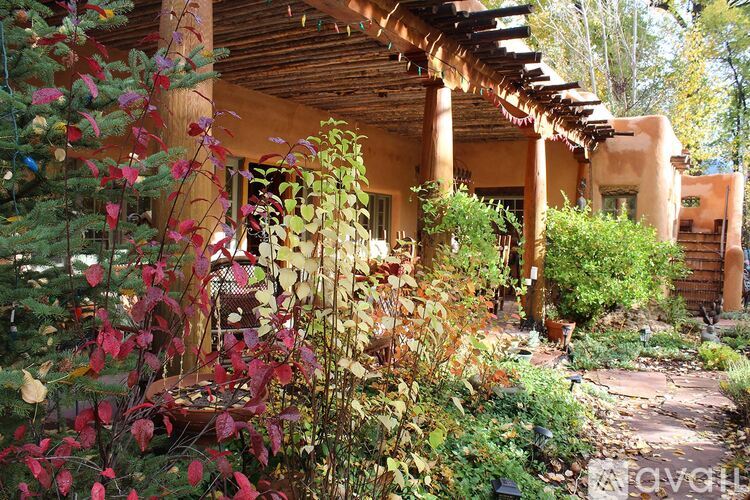 A garden with a wooden pergola and a variety of plants.