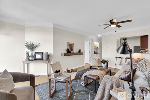 A living room with a brown chair and a grey rug.