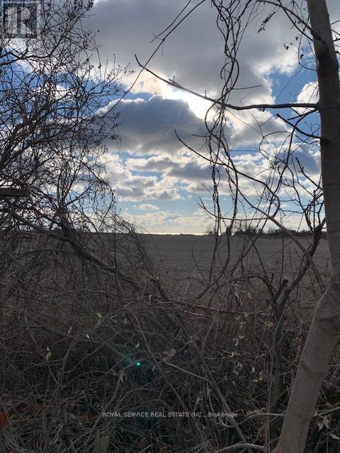 A barren landscape with a cloudy sky and leafless trees.