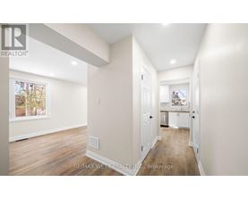 A spacious room with a view of a tree-lined street through a window.