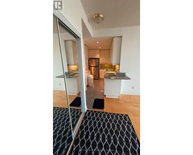 A black and white patterned rug sits on a wooden floor in front of a glass door.