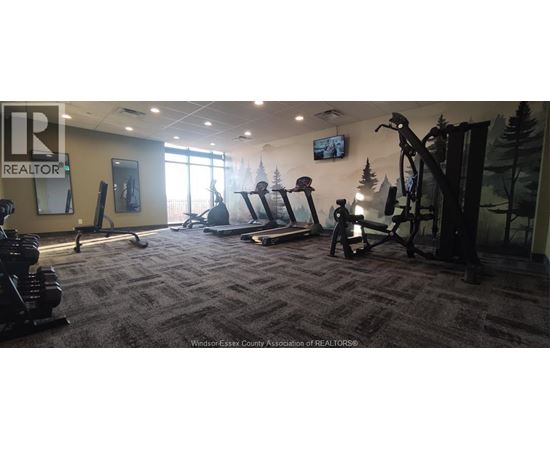 A gym with a variety of equipment including treadmills, weights, and exercise machines.