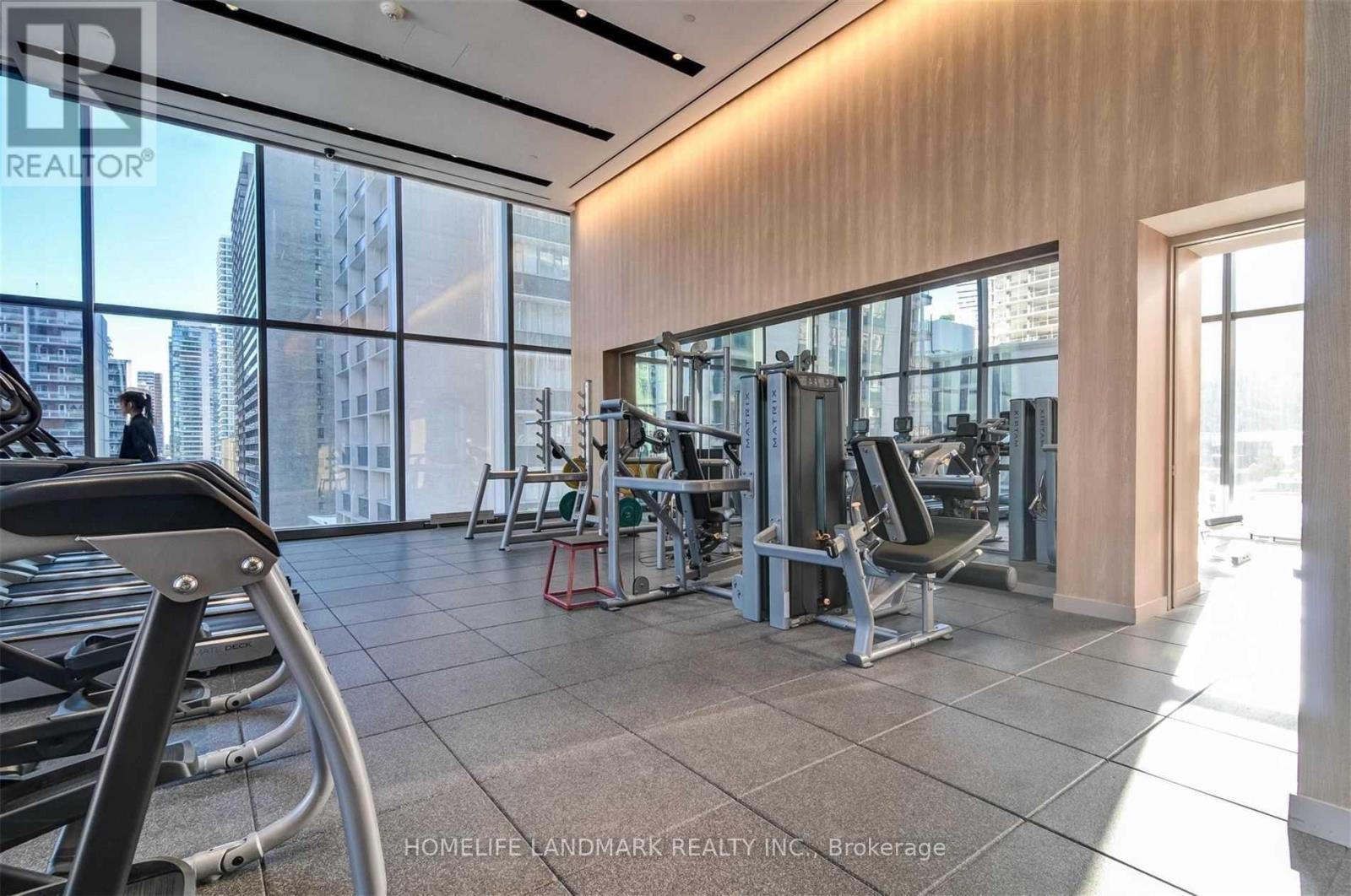A gym with treadmills, weights and exercise machines is shown.