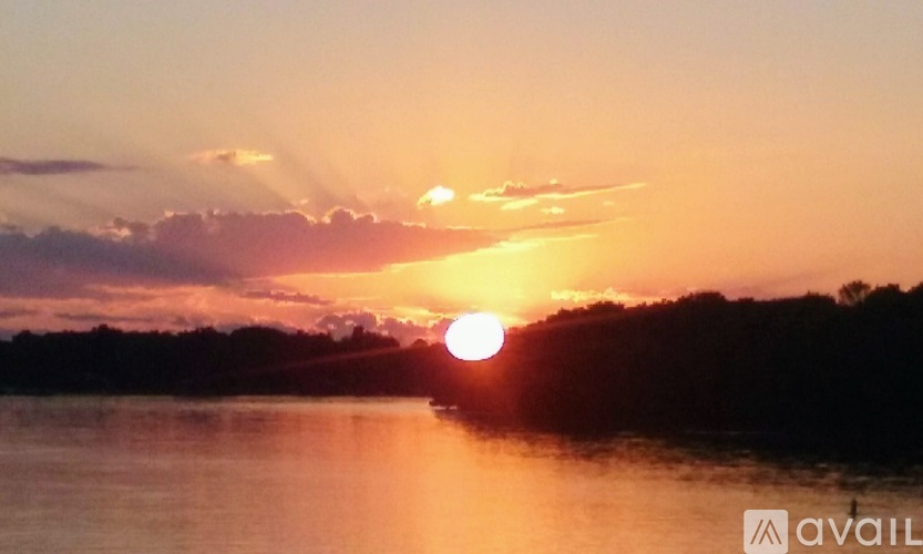 The sun is setting over a body of water with trees in the background.