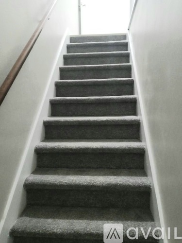 A set of stairs with a carpeted runner and wooden handrail.