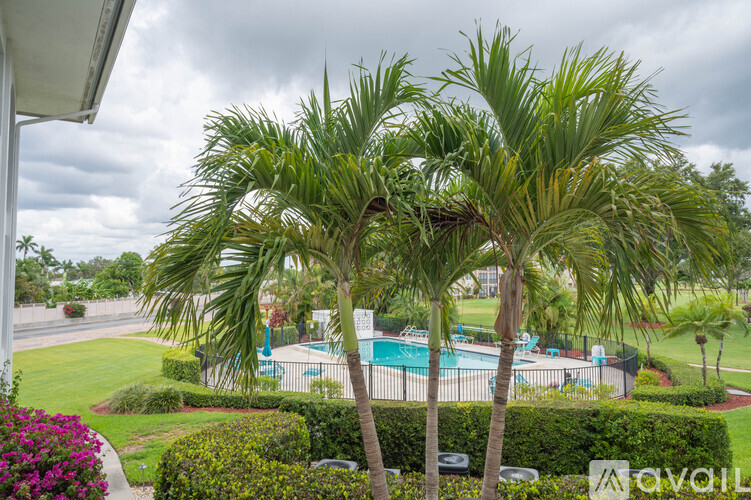 A pool surrounded by palm trees and bushes.