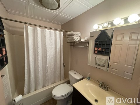 A bathroom with a toilet, sink, and shower curtain.