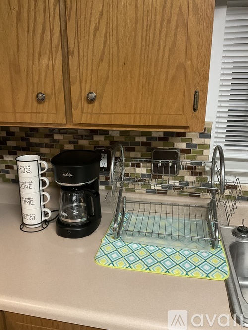 A kitchen counter with a coffee maker, a mug, and a dish rack.