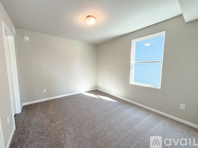 A room with a carpeted floor, a window with blinds, and a ceiling light.