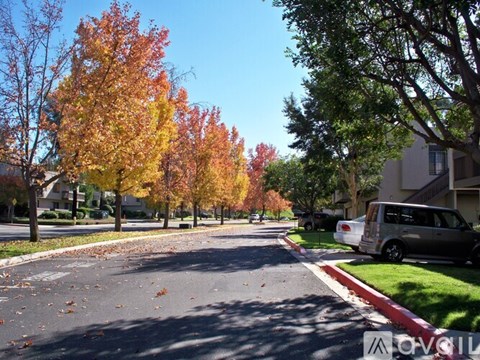 A tree-lined street with a van parked on the side.