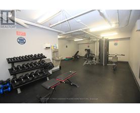 A gym with weights and a bench.
