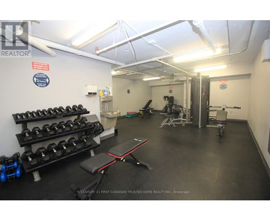 A gym with weights and a bench.