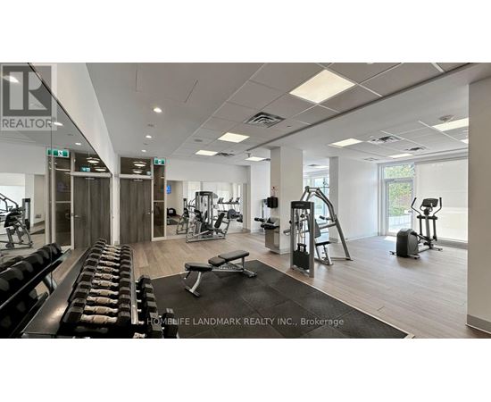 A gym with a variety of equipment including treadmills, weights, and exercise machines.