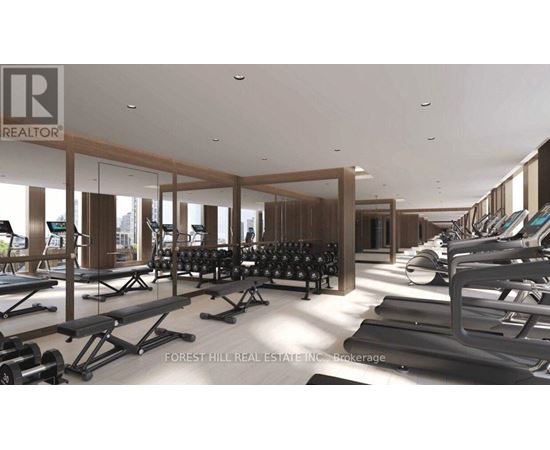 A gym with a row of treadmills and dumbbells.