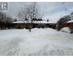 A house with a snow-covered yard and a tree in front of it.