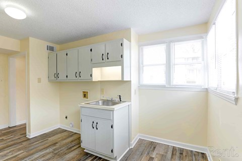 A kitchen with a sink and cabinets.