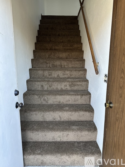 A staircase with a carpeted runner and wooden handrail.