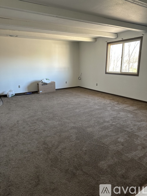A room with a carpeted floor and a window.