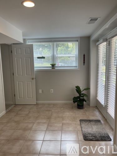 A room with a door, window, and a plant.