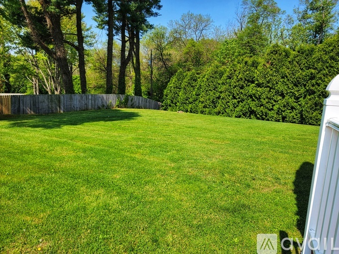 A backyard with a white fence and a green lawn.