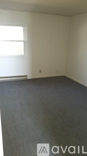 A room with a window and a carpeted floor.