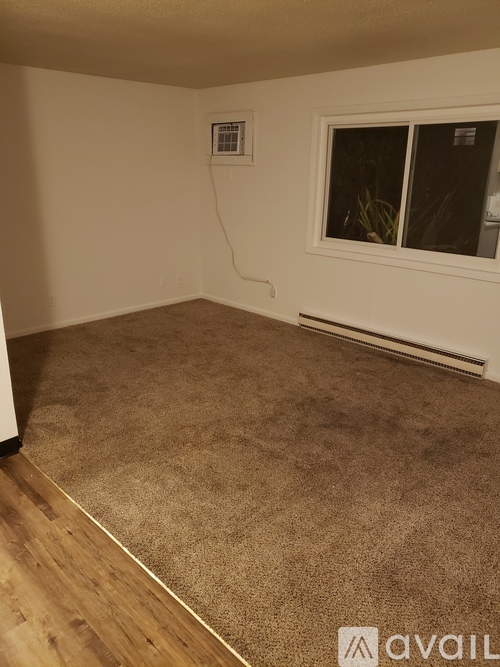 A room with a carpeted floor and a window.