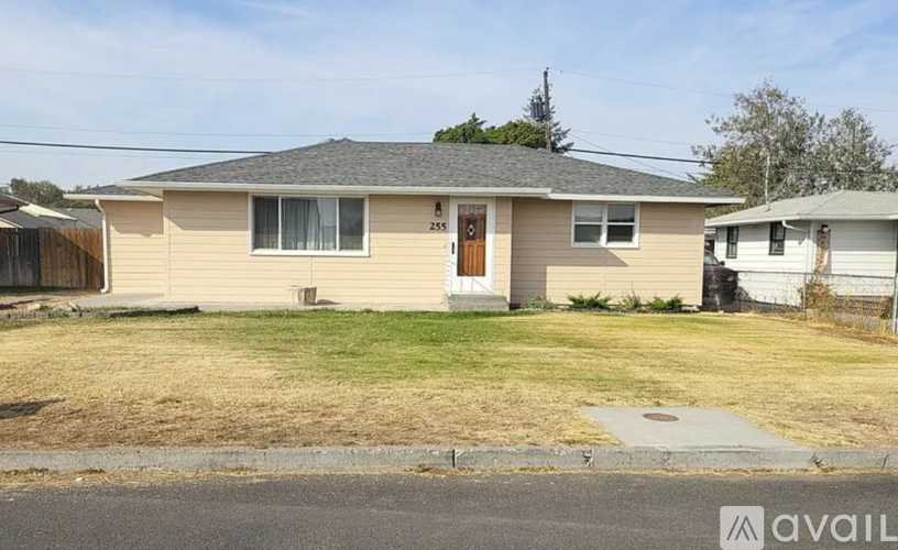A house with a brown door and a small front yard.